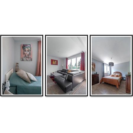 Le Raymond - Appartement Proche Du Centre Sportif, Des Rives De L'Allier Et Du Centre-Ville - Parking Βισύ Εξωτερικό φωτογραφία